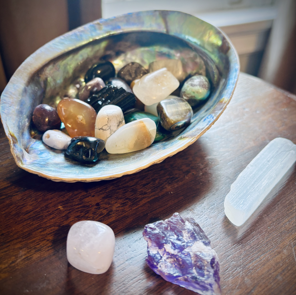 A large seashell sitting on a table, which holds a variety of small tumbled crystals